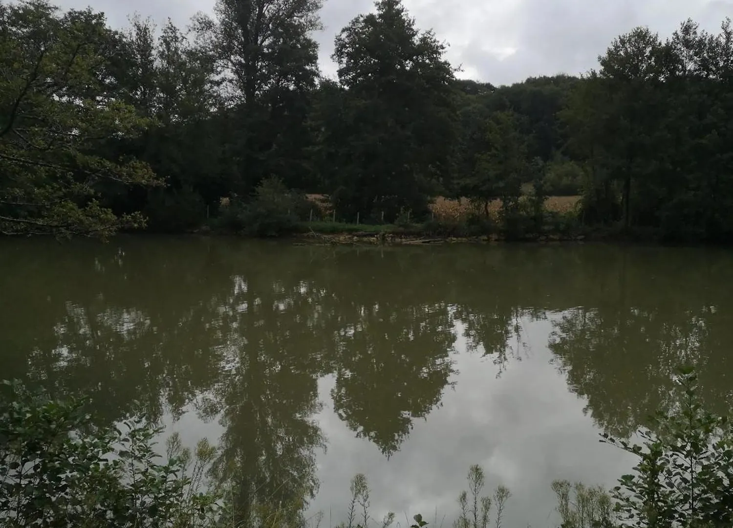 Chalet Accueillant Avec Vue Sur Le Lac Estang 0*,